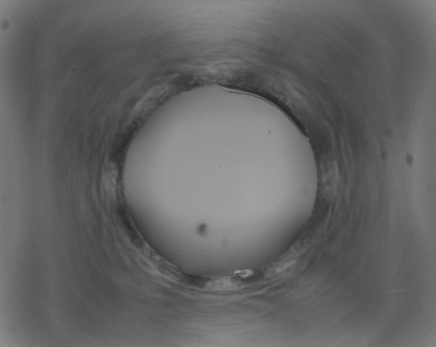 X0000078240231200612011612