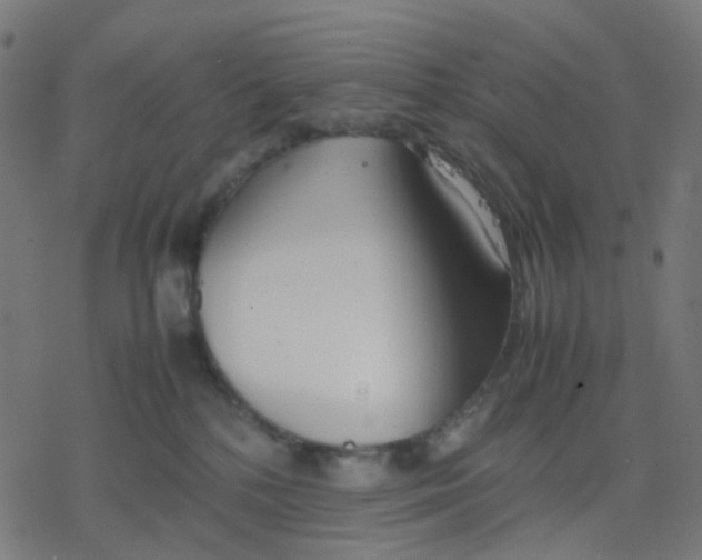 X0000078240232200612011612