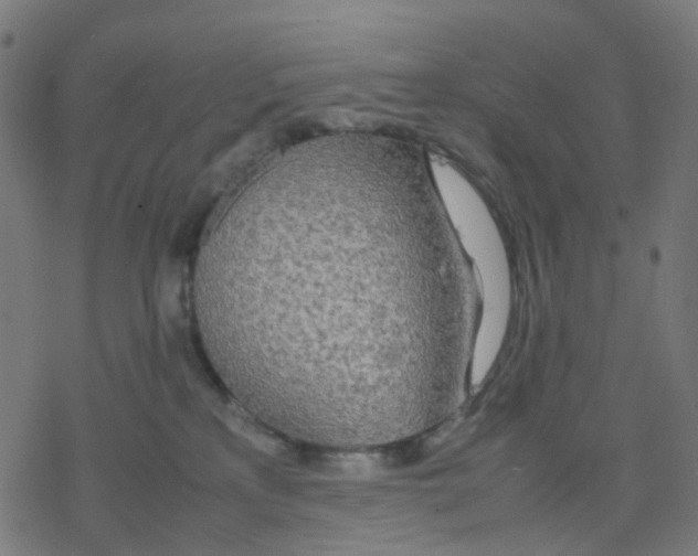 X0000078240233200612011612