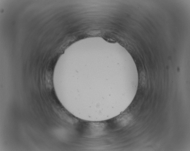 X0000078240234200612011612