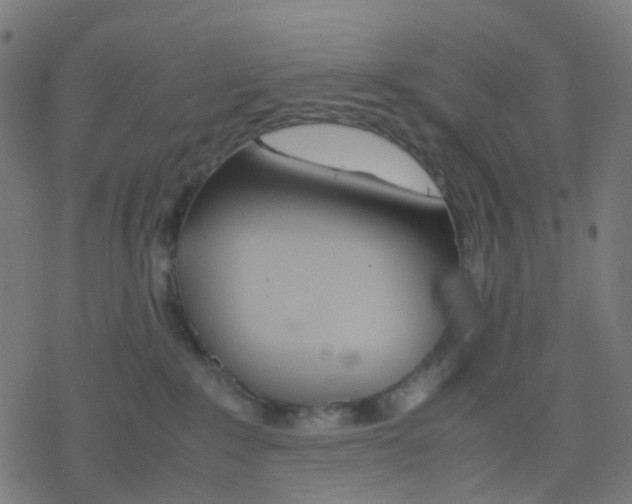 X0000078240235200612011612