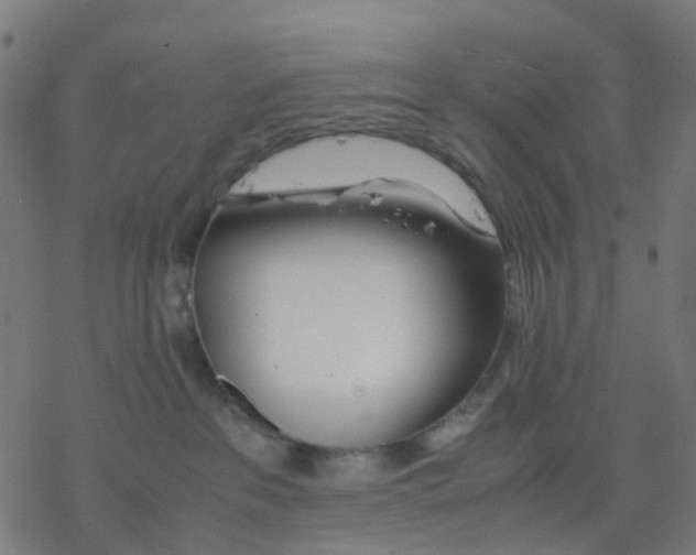 X0000078240237200612011612