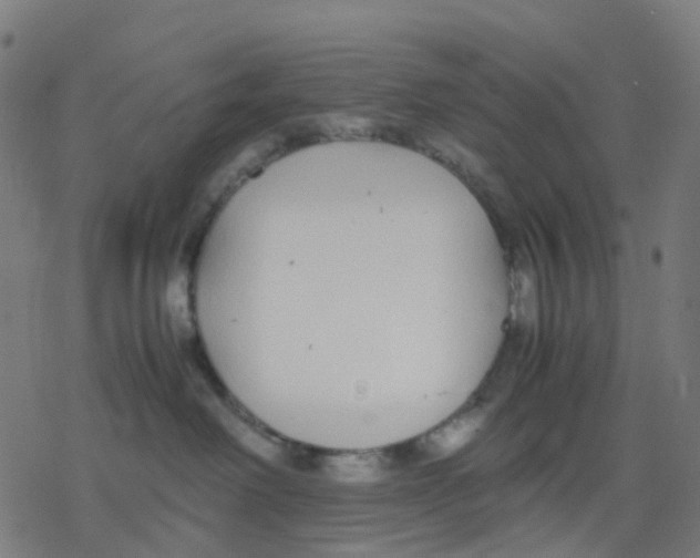 X0000078240238200612011612