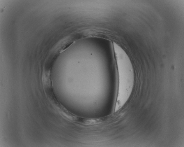 X0000078240239200612011612