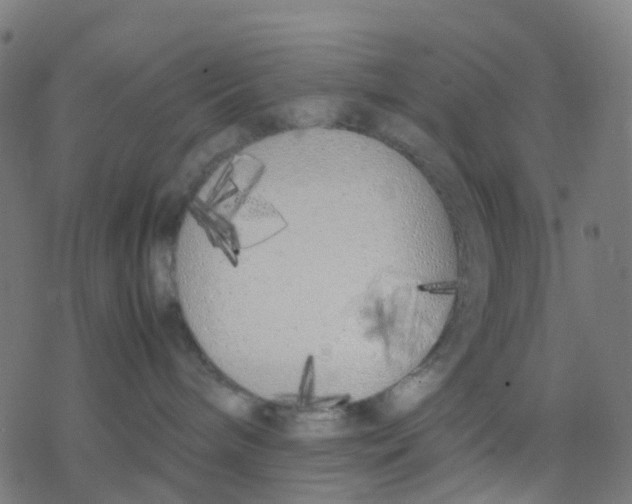 X0000078240240200612011612