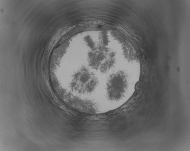 X0000078240241200612011611