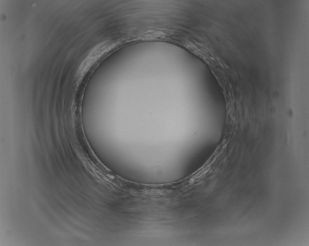 X0000078240242200612011611