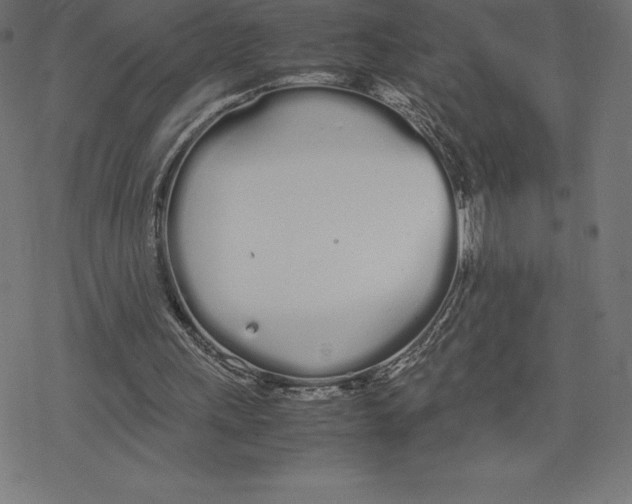 X0000078240243200612011611