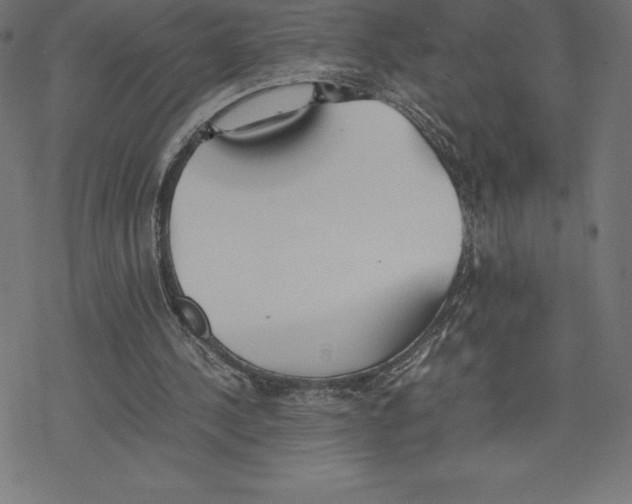 X0000078240244200612011611