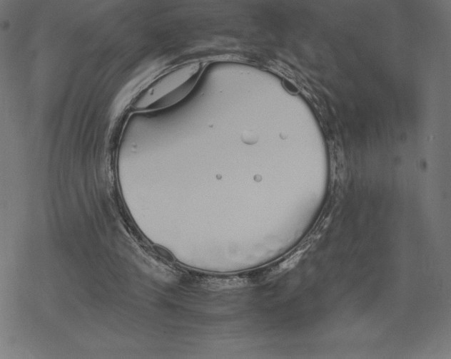 X0000078240245200612011611