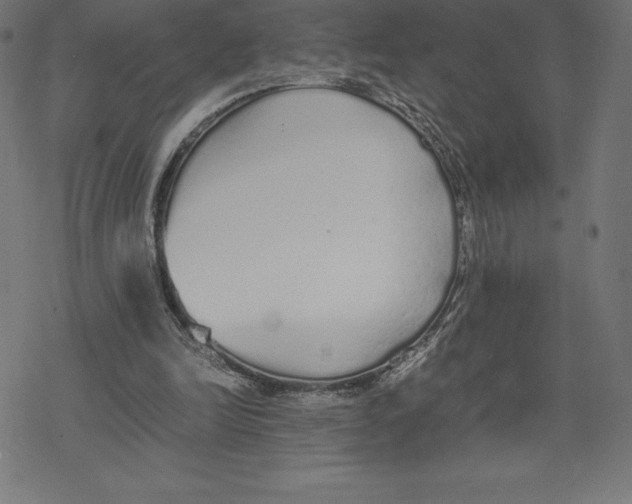 X0000078240246200612011611