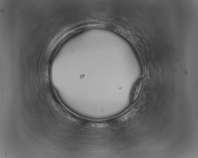 X0000078240247200612011611