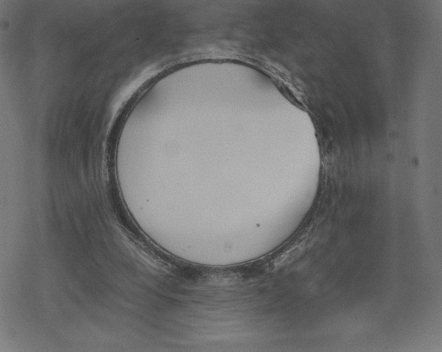 X0000078240248200612011612