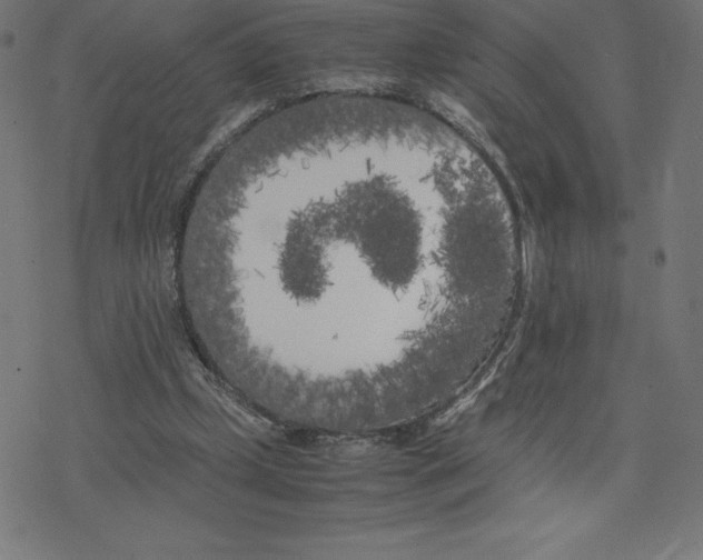 X0000078240249200612011612