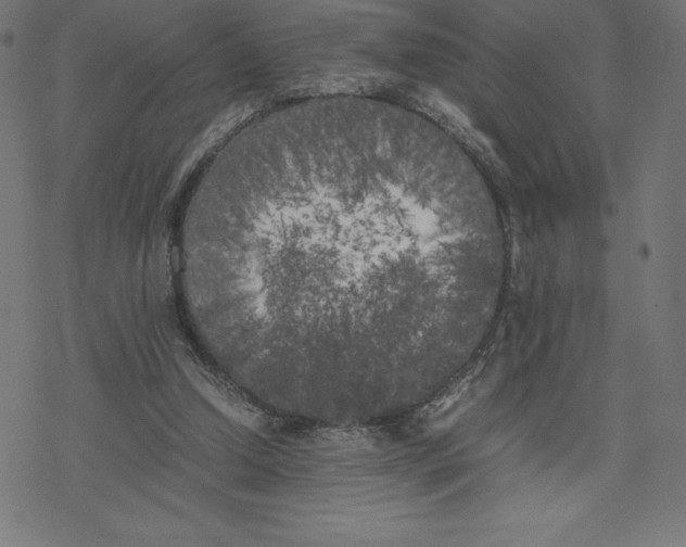 X0000078240250200612011612