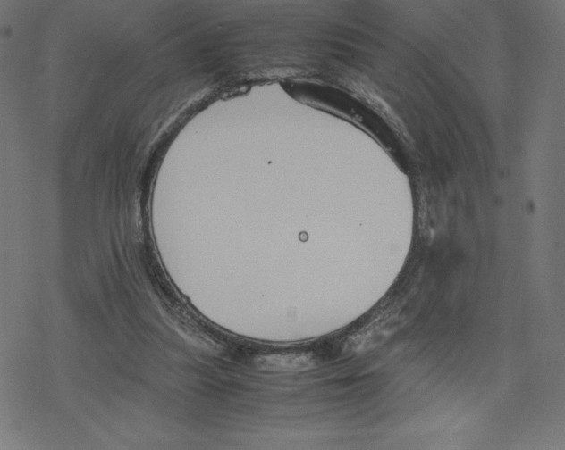 X0000078240251200612011612