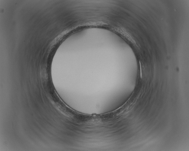 X0000078240252200612011612