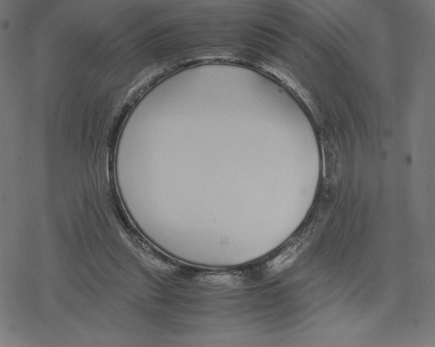 X0000078240253200612011612