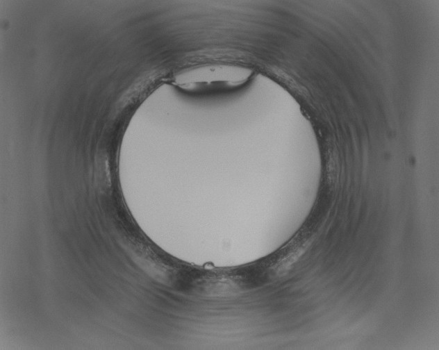 X0000078240254200612011612