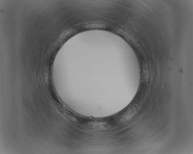 X0000078240255200612011612