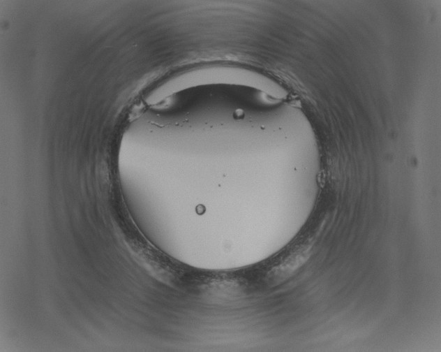 X0000078240256200612011612