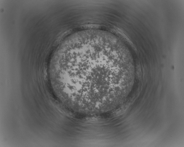 X0000078240259200612011612