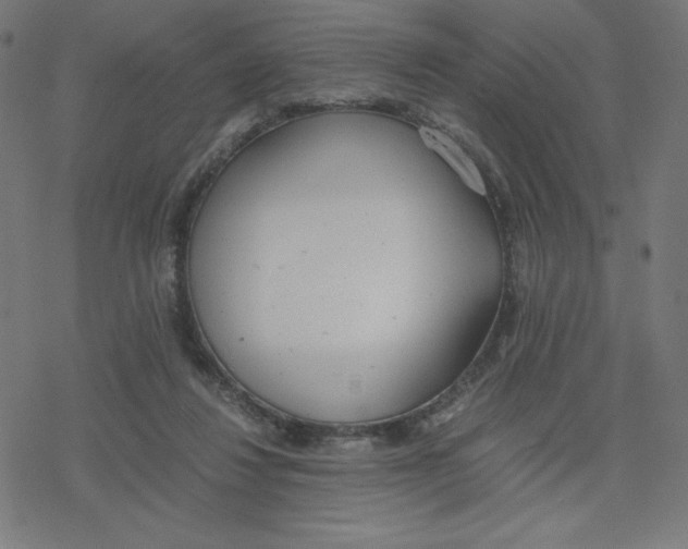 X0000078240260200612011612