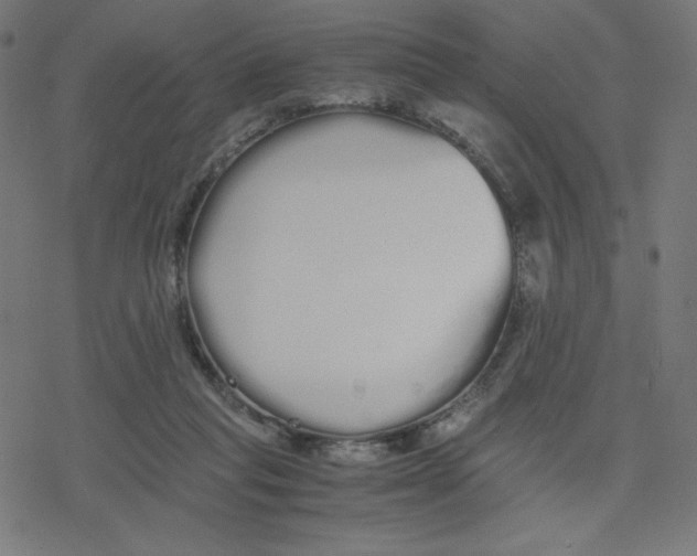 X0000078240261200612011612