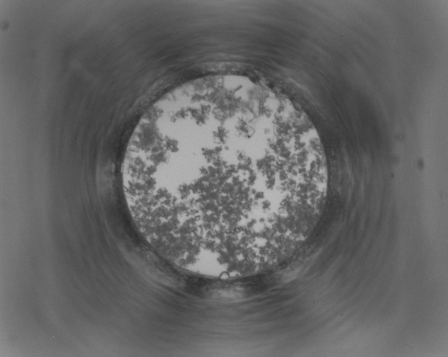 X0000078240263200612011612