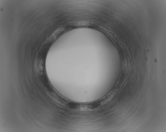 X0000078240264200612011612