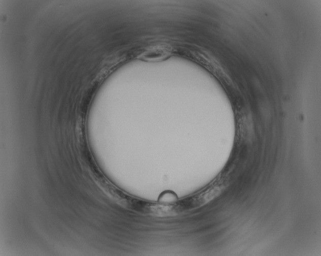 X0000078240265200612011612