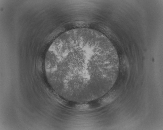 X0000078240266200612011612