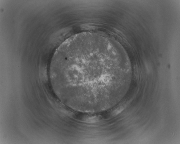 X0000078240267200612011612