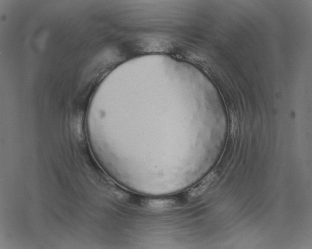 X0000078240268200612011612