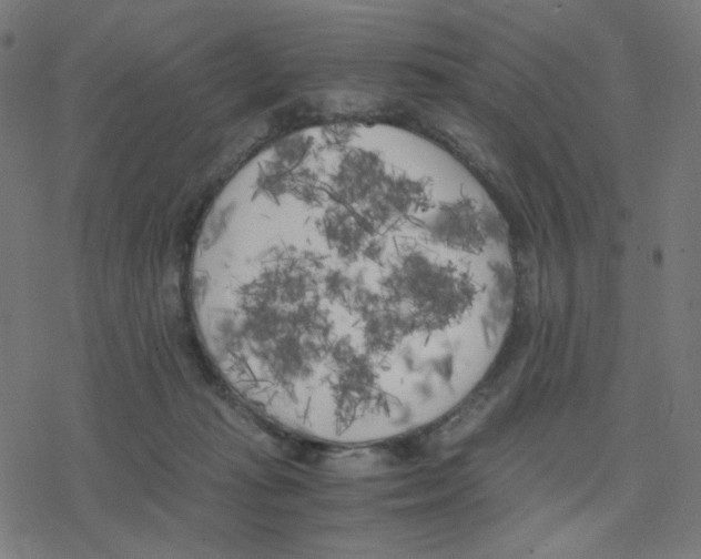 X0000078240269200612011612