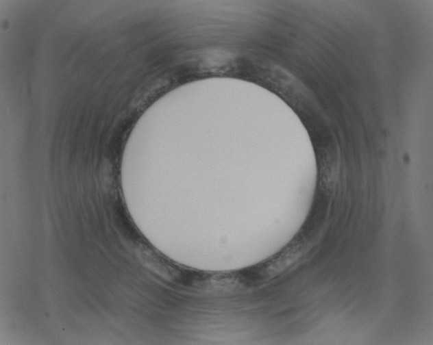 X0000078240270200612011612