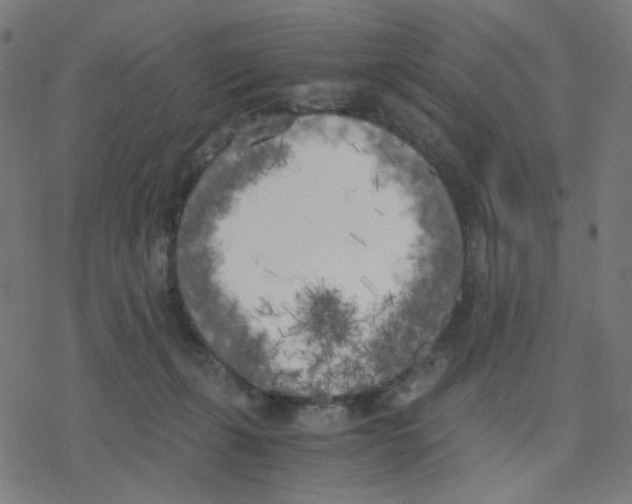 X0000078240271200612011612