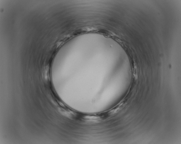 X0000078240272200612011612