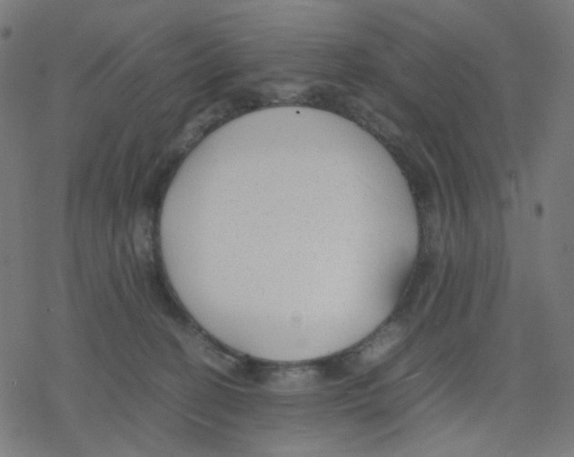 X0000078240274200612011612