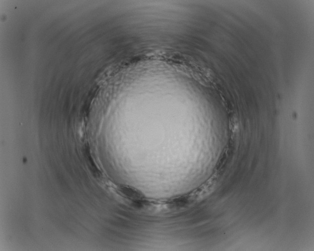 X0000078240276200612011612