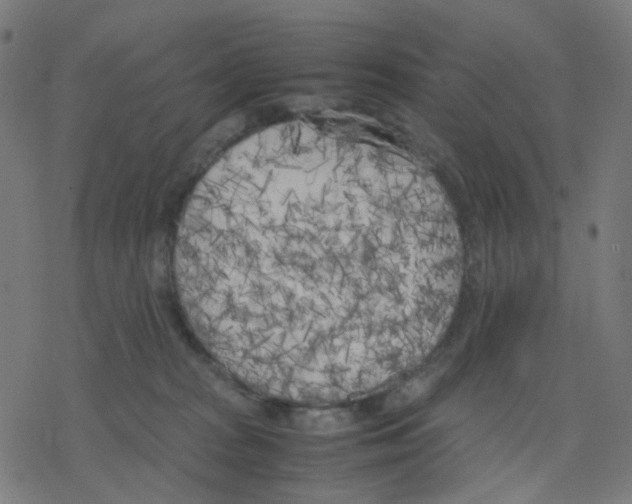 X0000078240277200612011612