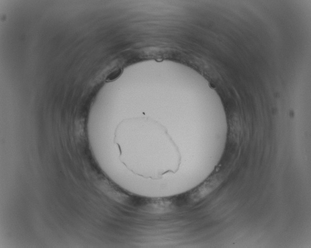 X0000078240278200612011612