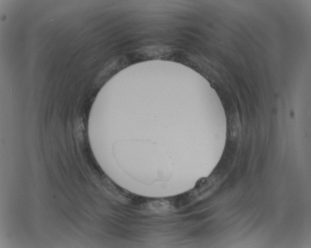 X0000078240279200612011612