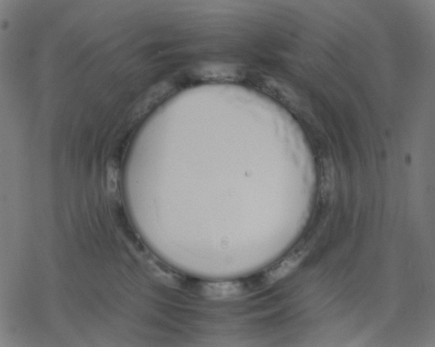 X0000078240281200612011612