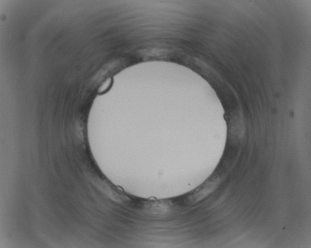 X0000078240282200612011612