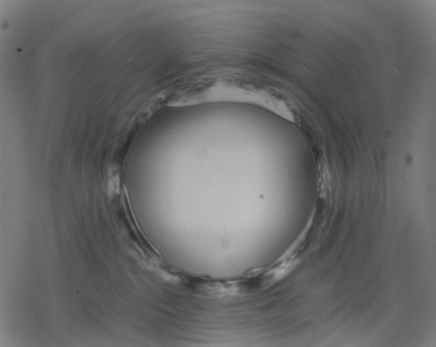 X0000078240284200612011612