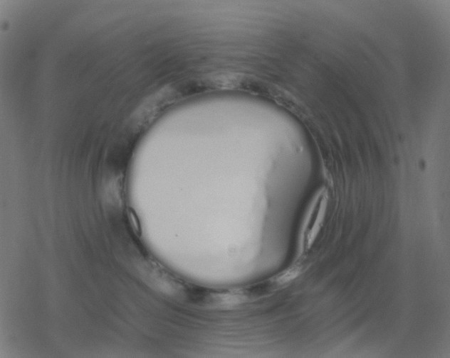 X0000078240286200612011612