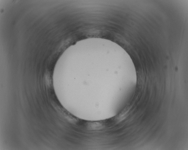 X0000078240287200612011612