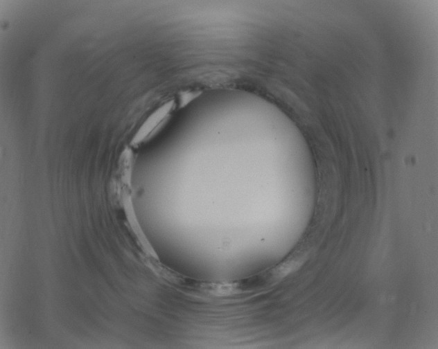 X0000078240288200612011612