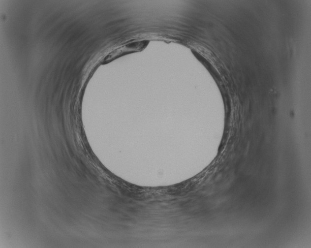 X0000078240289200612011611